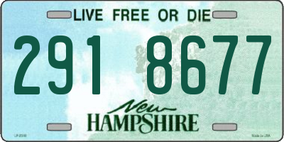 NH license plate 2918677