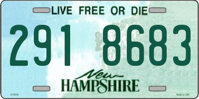 NH license plate 2918683