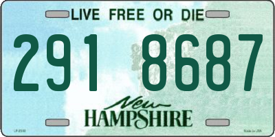 NH license plate 2918687