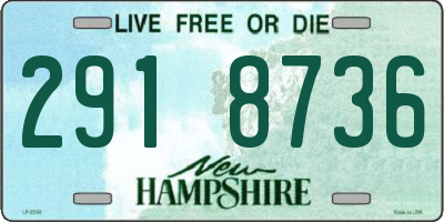 NH license plate 2918736