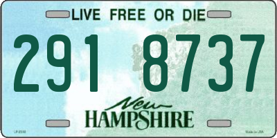 NH license plate 2918737
