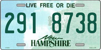 NH license plate 2918738