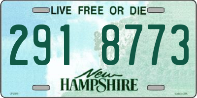 NH license plate 2918773