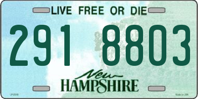 NH license plate 2918803