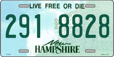 NH license plate 2918828