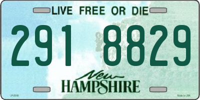 NH license plate 2918829
