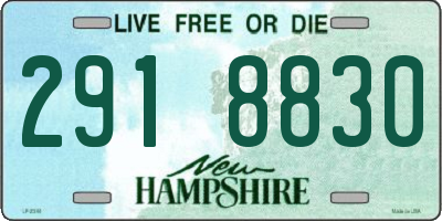 NH license plate 2918830