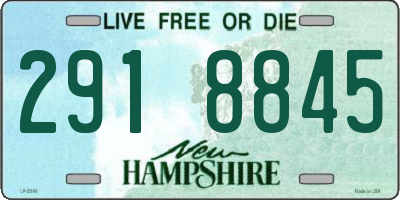 NH license plate 2918845