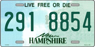 NH license plate 2918854