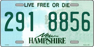 NH license plate 2918856