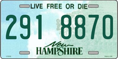 NH license plate 2918870