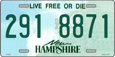NH license plate 2918871