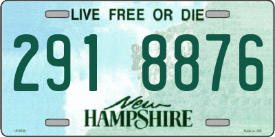 NH license plate 2918876