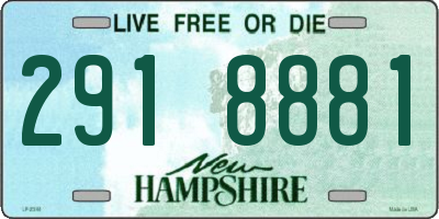 NH license plate 2918881