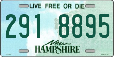 NH license plate 2918895