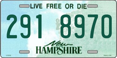 NH license plate 2918970