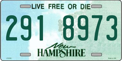 NH license plate 2918973