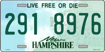 NH license plate 2918976
