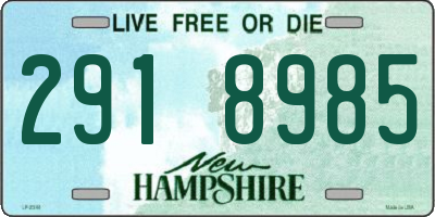 NH license plate 2918985