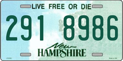 NH license plate 2918986