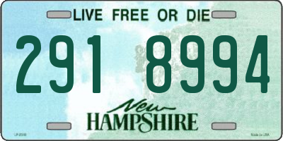 NH license plate 2918994