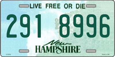 NH license plate 2918996