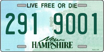 NH license plate 2919001