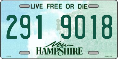 NH license plate 2919018