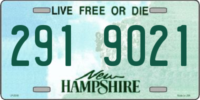 NH license plate 2919021