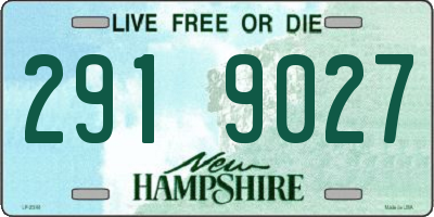 NH license plate 2919027