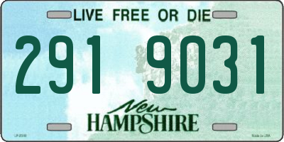 NH license plate 2919031