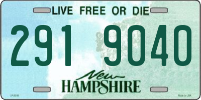 NH license plate 2919040