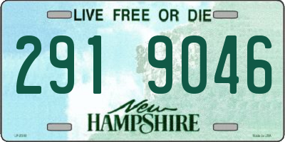 NH license plate 2919046