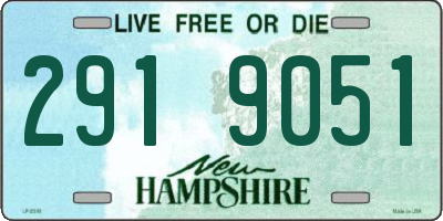 NH license plate 2919051