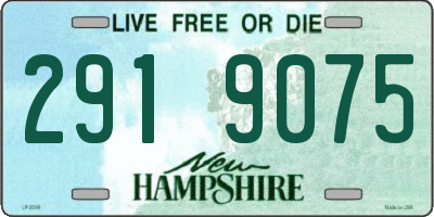 NH license plate 2919075