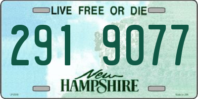 NH license plate 2919077