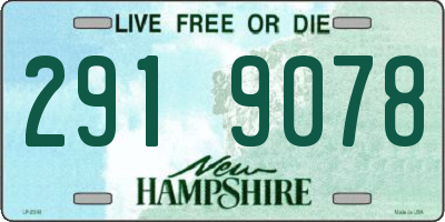 NH license plate 2919078