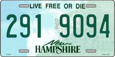 NH license plate 2919094