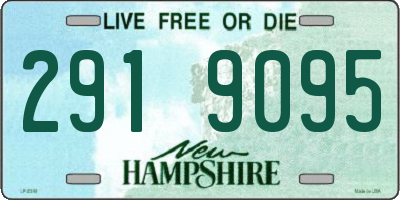 NH license plate 2919095