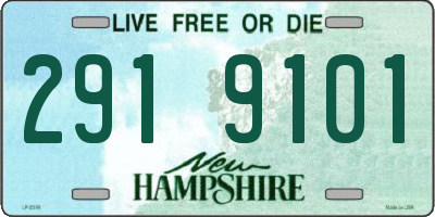 NH license plate 2919101
