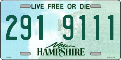NH license plate 2919111