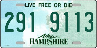 NH license plate 2919113