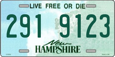 NH license plate 2919123