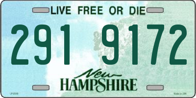 NH license plate 2919172
