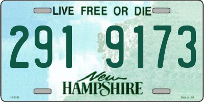 NH license plate 2919173