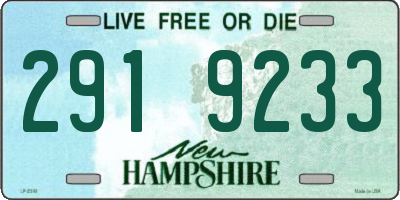 NH license plate 2919233