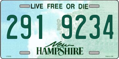 NH license plate 2919234