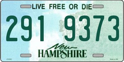 NH license plate 2919373