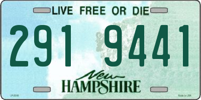 NH license plate 2919441