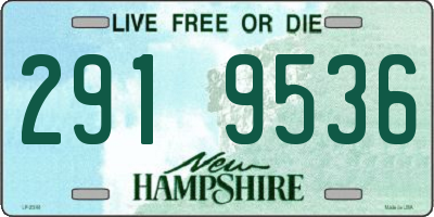 NH license plate 2919536